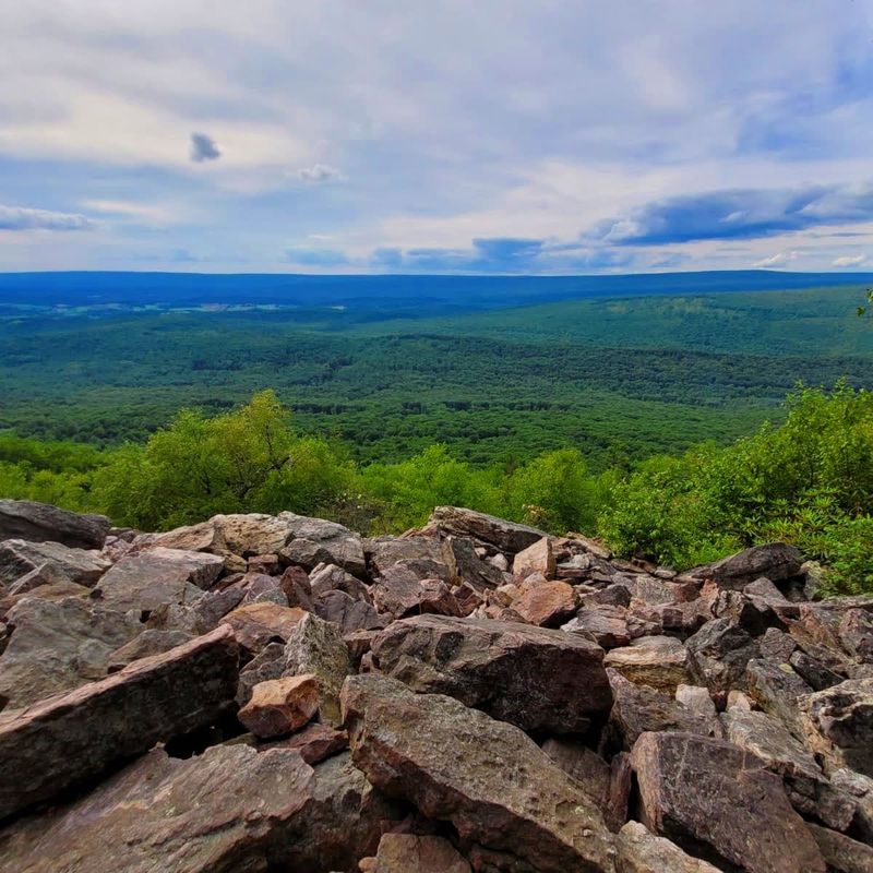 Gateway To The Wild Rothrock Forest