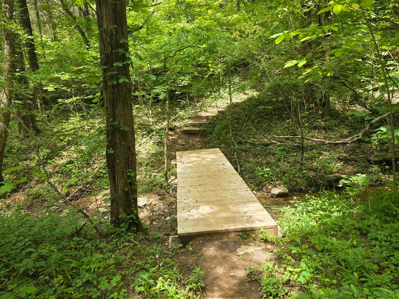 Little Hikers And Four-Legged Rangers Get Their Own Fun