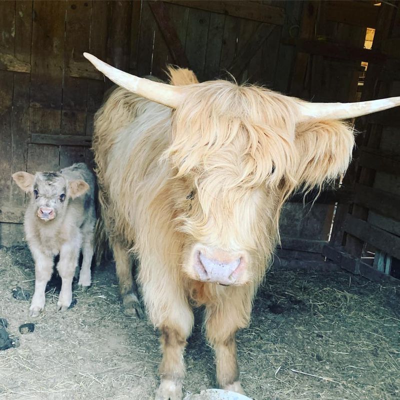 Secret Learning On A Working Farm