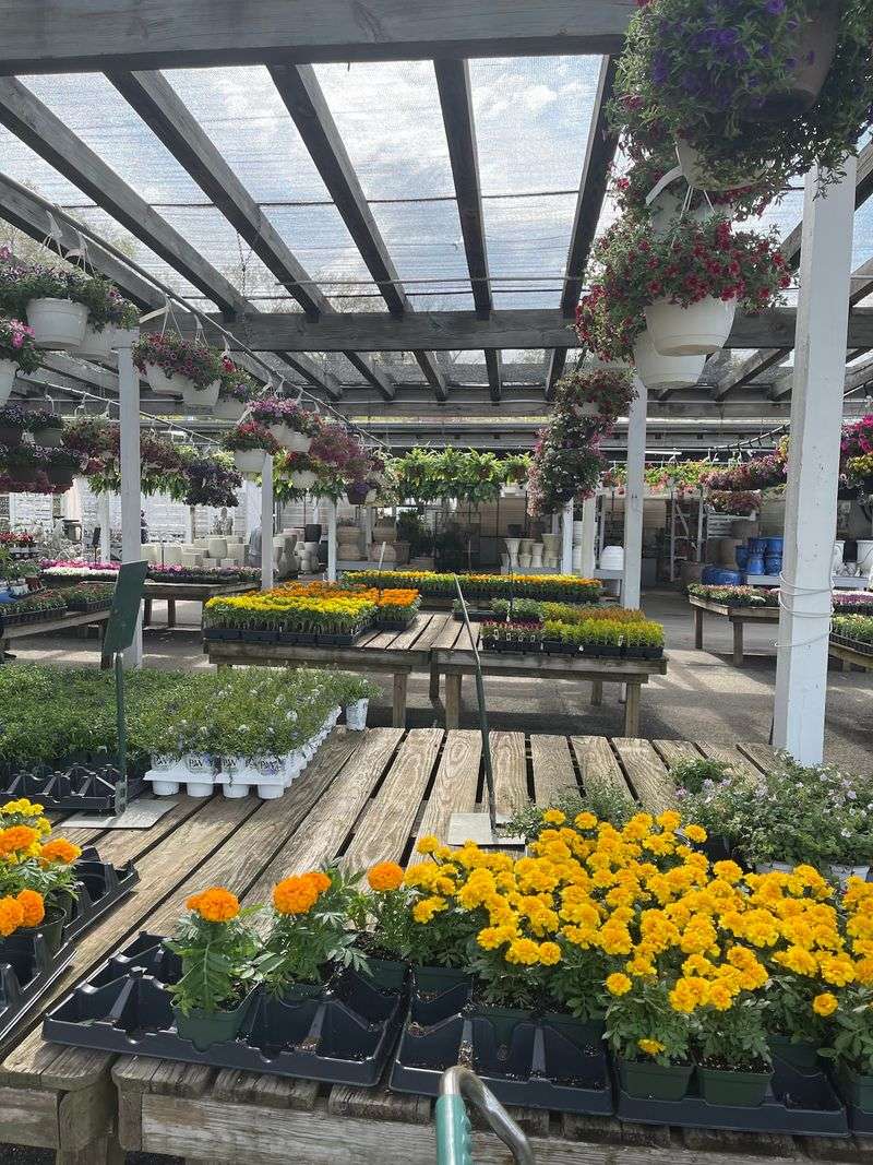 Blooms Built For Every Season
