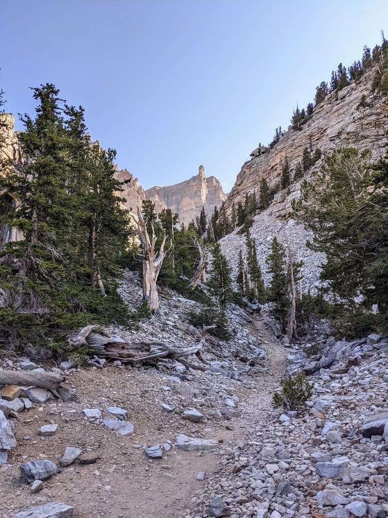 The Short Climb to the Bristlecone Grove