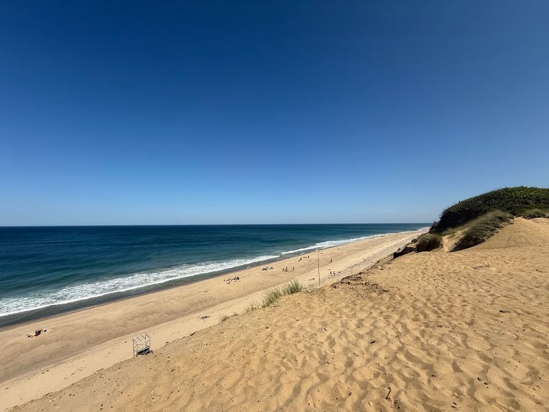 Wellfleet