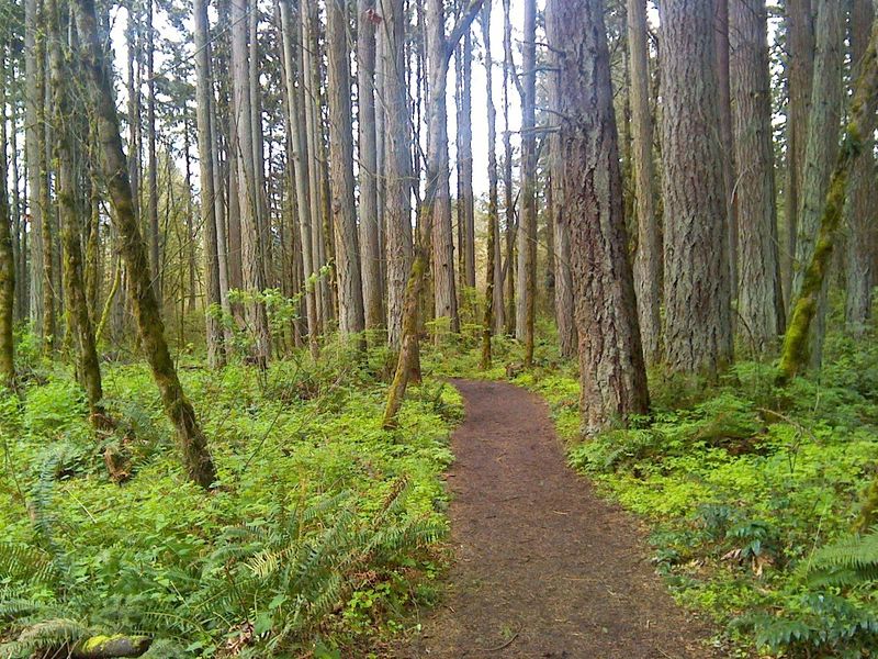 Tualatin Hills Nature Park, Beaverton, OR