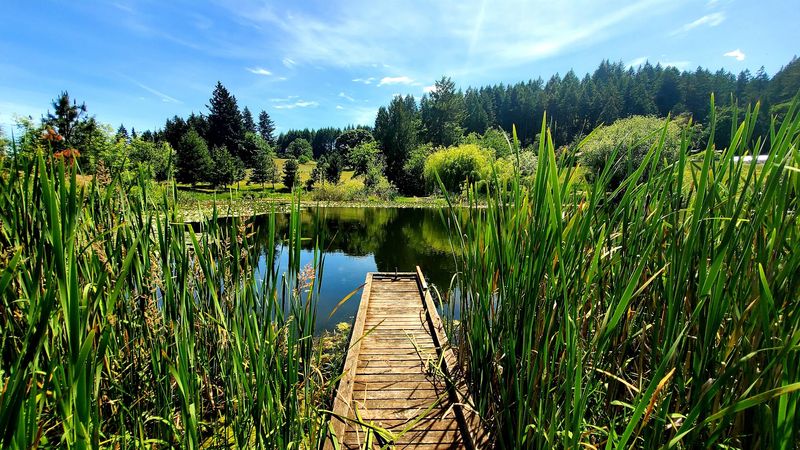 Miller Woods Conservation Area, McMinnville, OR