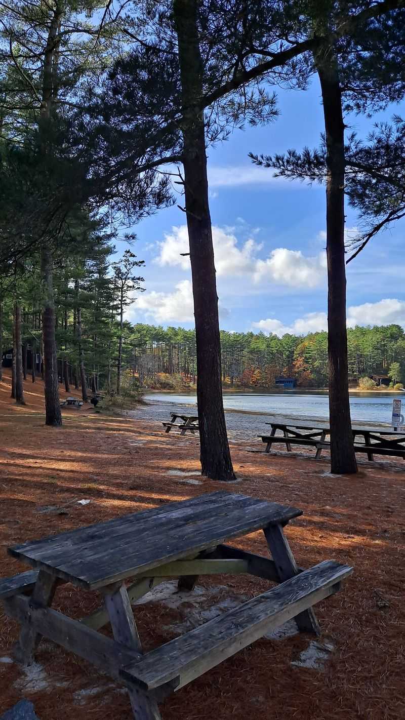 Myles Standish State Forest