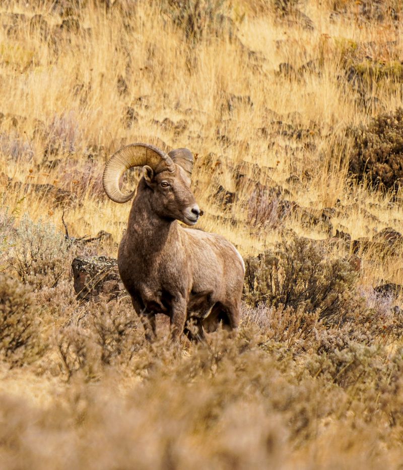 Cottonwood Canyon State Park