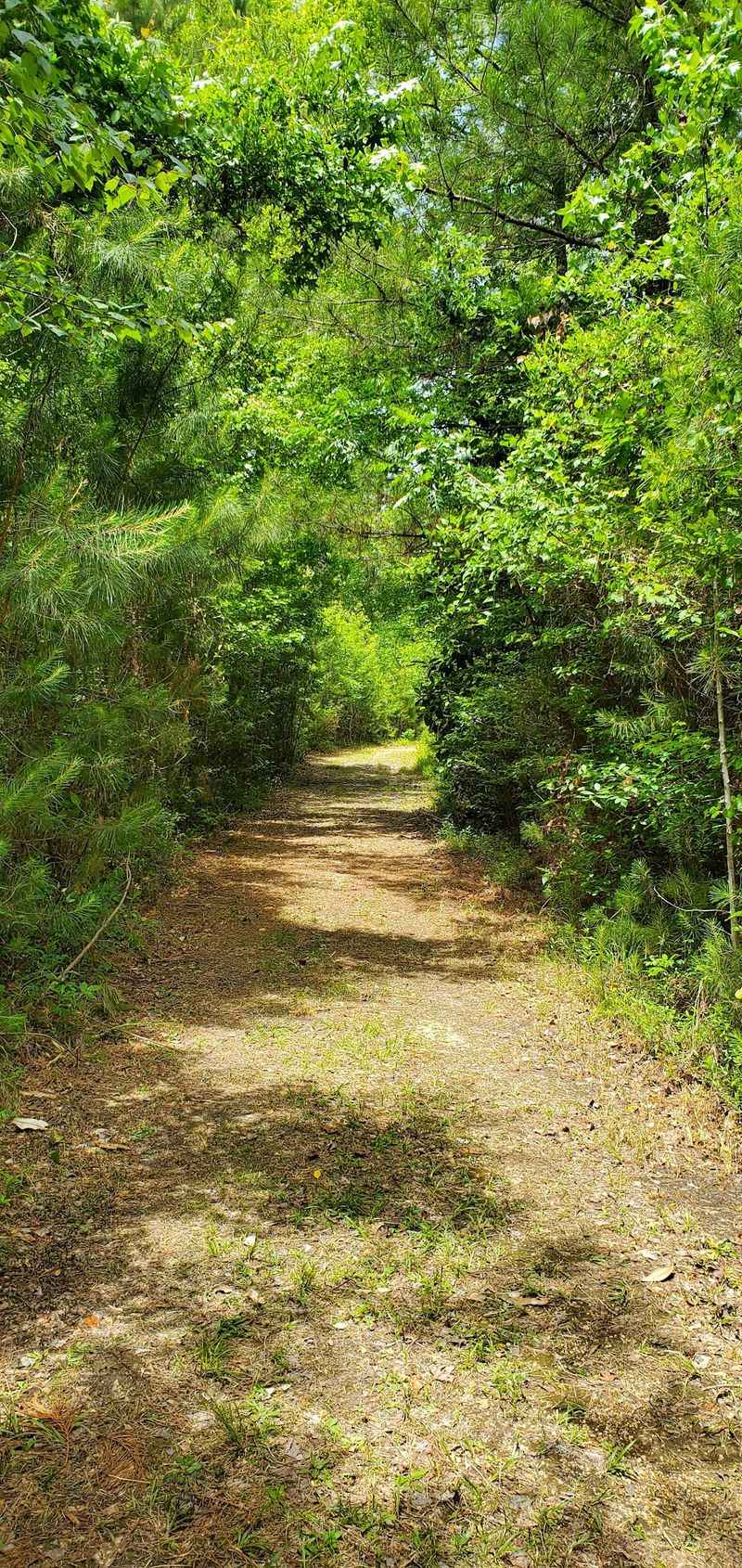 Black Creek Hiking Trailhead + parking area