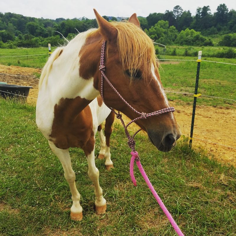 The Numbers Behind This Rescue Will Make You Blink Twice