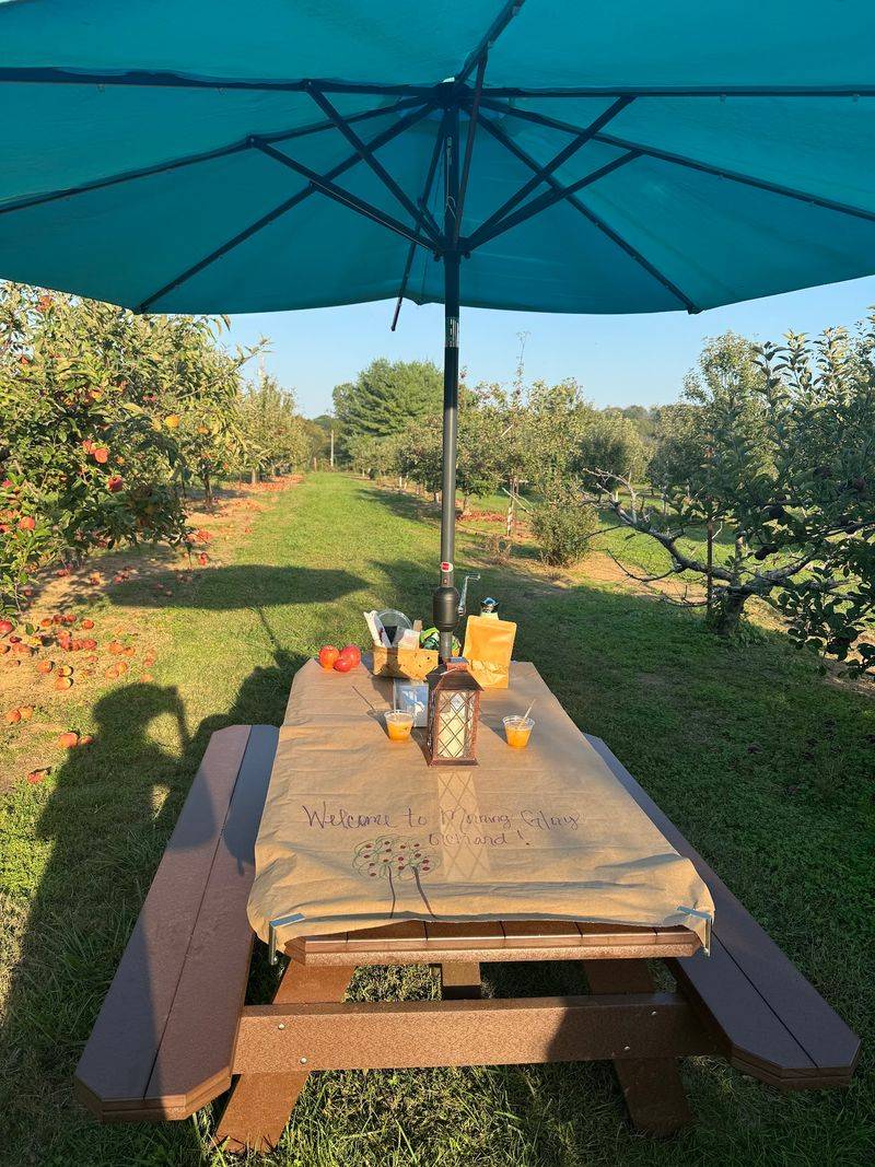 Book A Picnic Among The Trees For A Slower Kind Of Visit