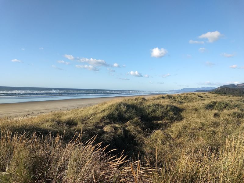 Bayocean Road (Bayocean Peninsula Park), Tillamook