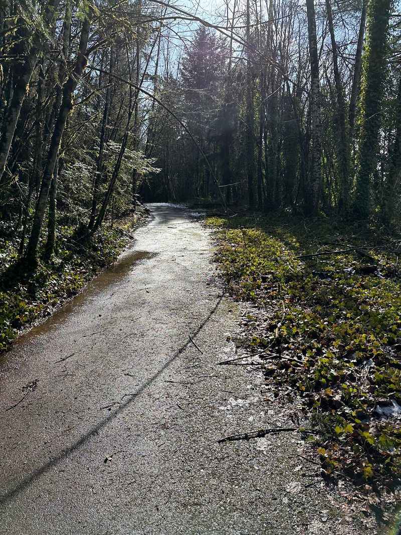 Croisan Creek Road, Salem