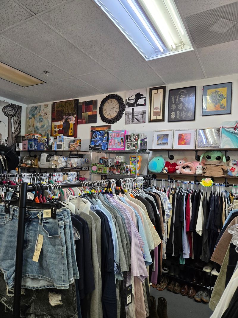 Thrifty Vibes