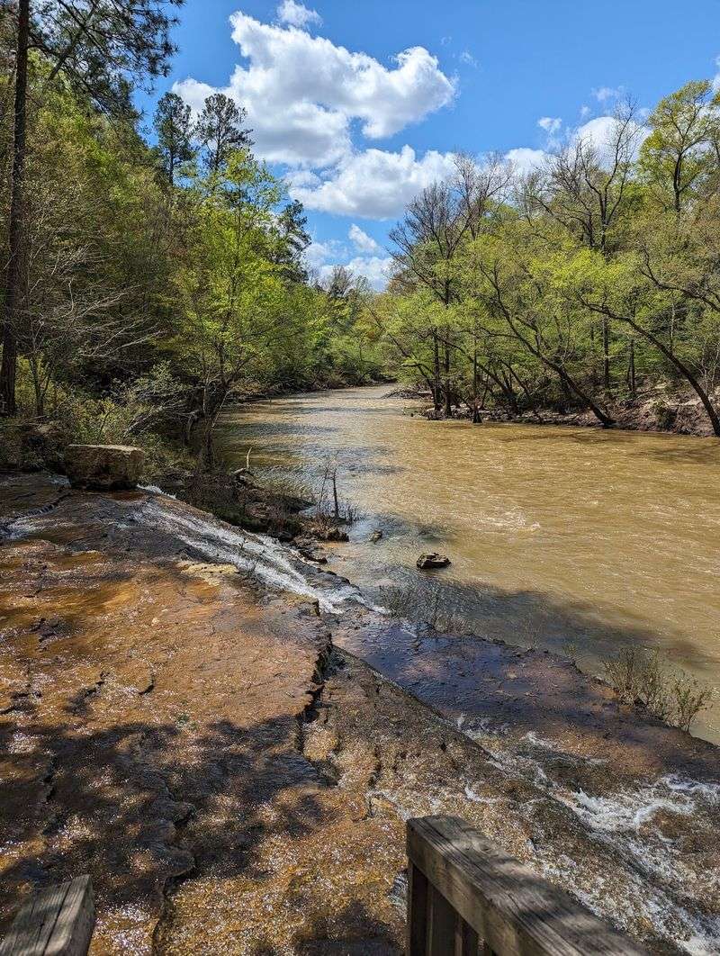 Cooling Off in the Chunky River