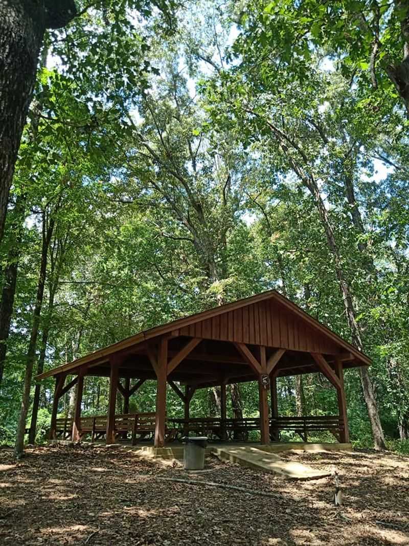 Disc Golf, Picnics, and Simple Pleasures