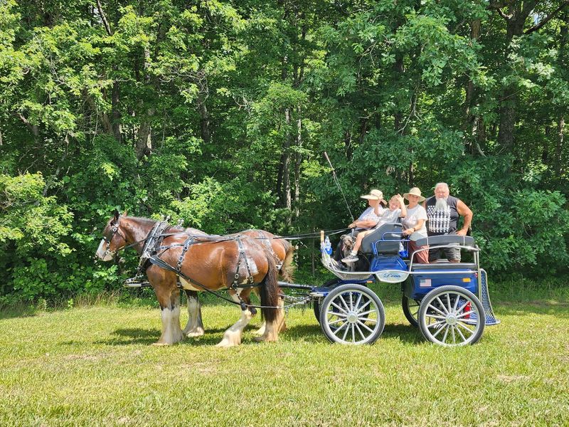 A Few Miles From One Of Tennessee's Wildest Playgrounds