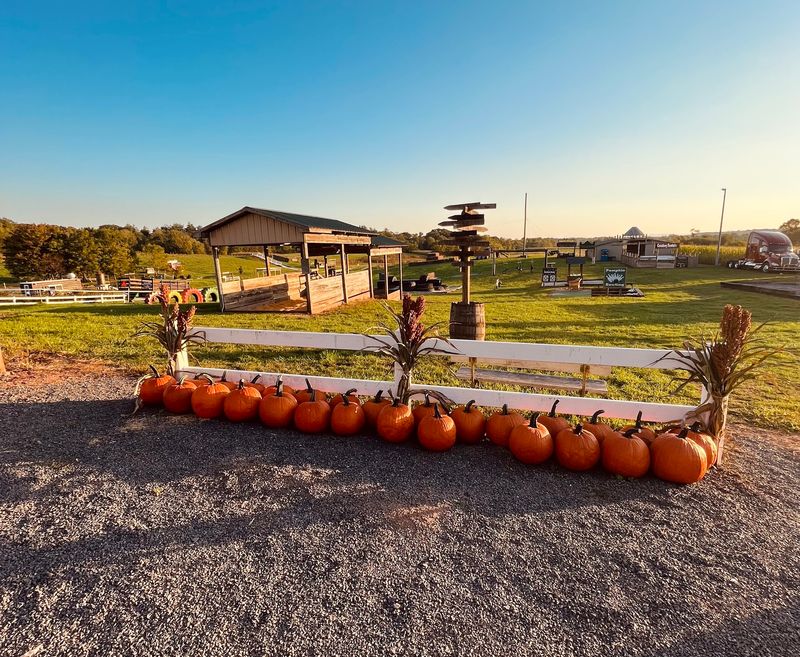 Fields of Adventure