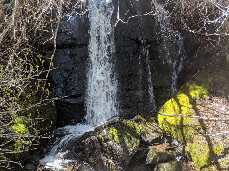 Genoa Canyon Trailhead
