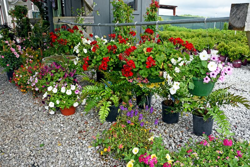 Good Earth Greenhouse, LLC