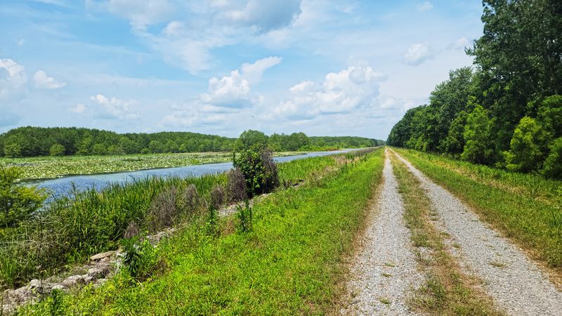 Picnic Spots and Easy Walking Paths