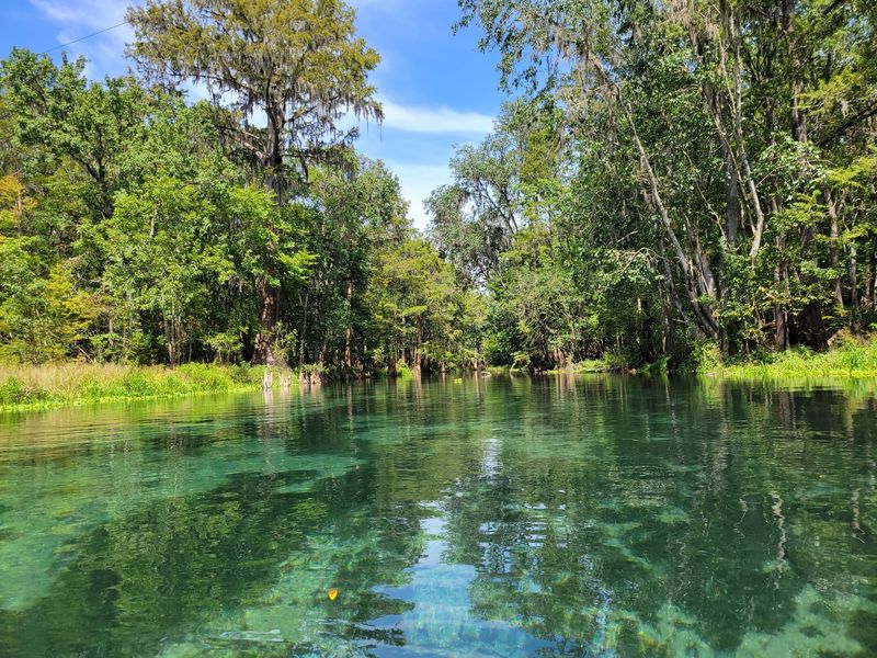 Ichetucknee Springs State Park