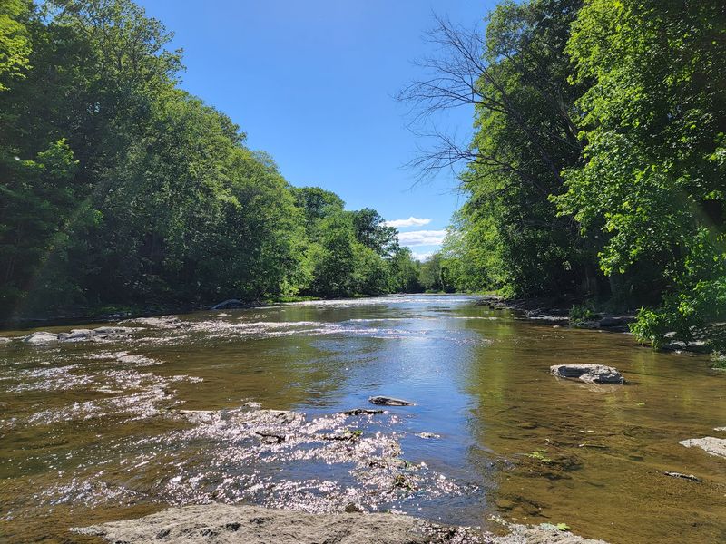 Normanskill Farm HikingTrail