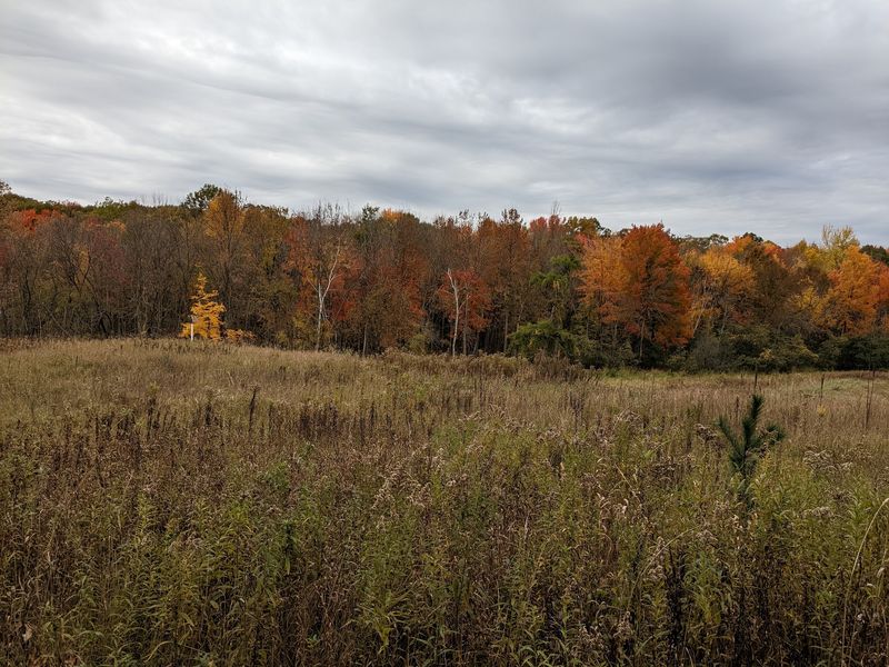 Fifty Vendors And A Whole Lot Of Autumn Spirit