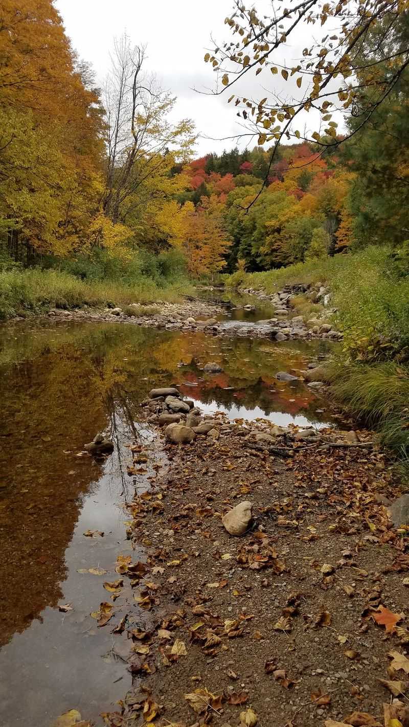 Windsor State Forest And Windsor Jambs