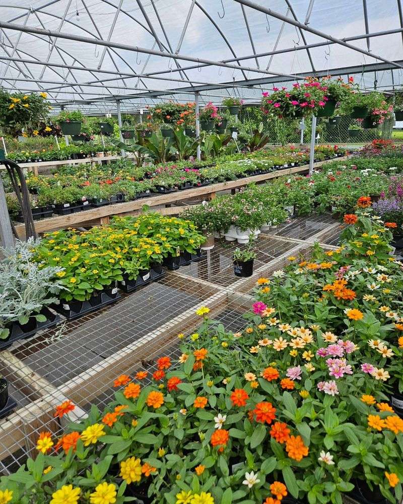 Beatline Nursery, Garden Center & Gifts