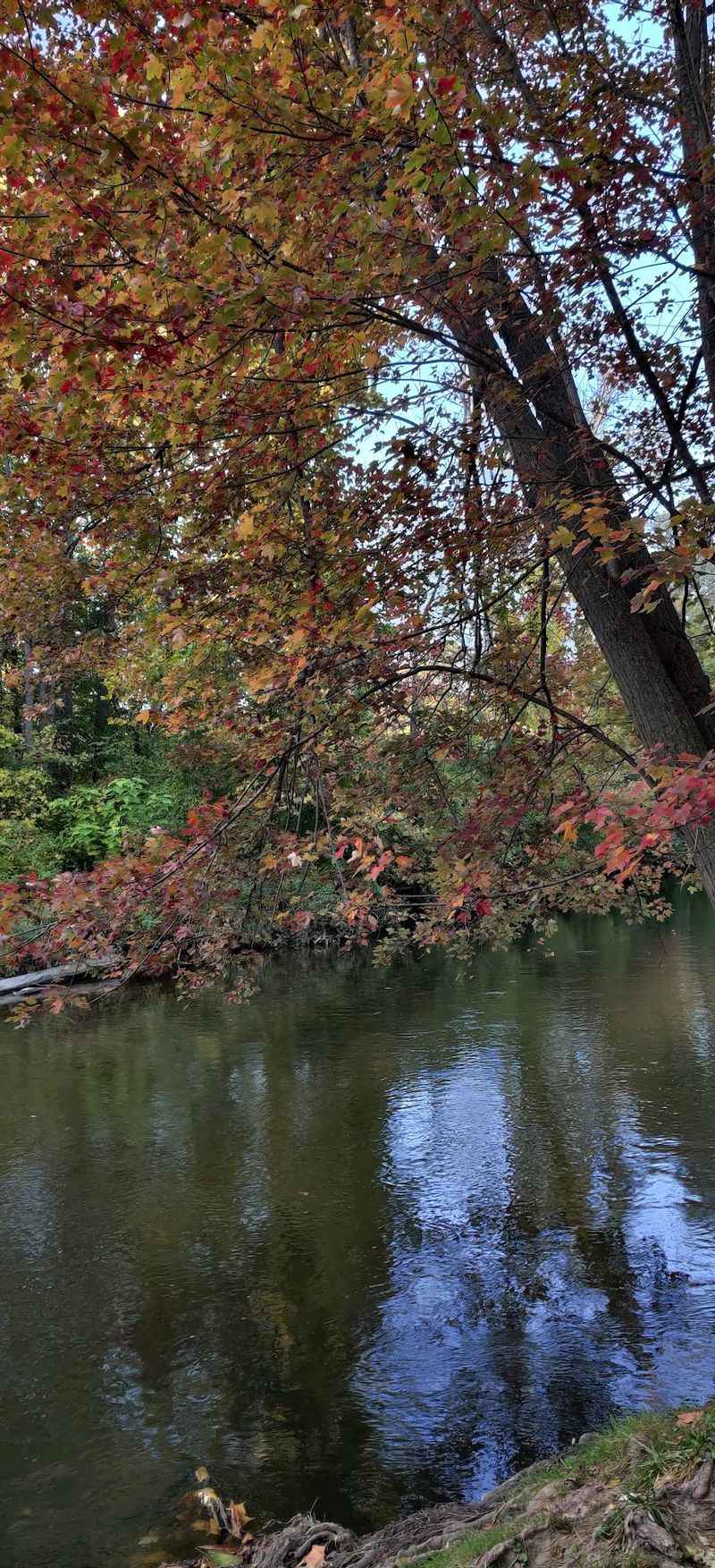 A River Has Been Doing The Heavy Lifting Since The 1800s
