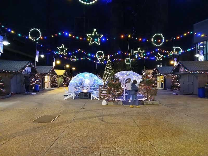 More Room To Roam In The New Winter Wonderland