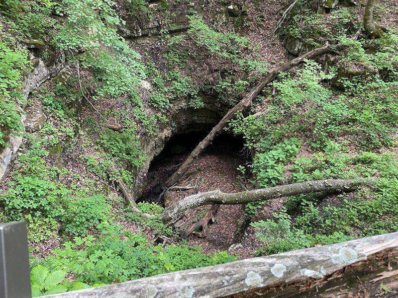 A Gated Cave Entrance Protects Some Very Sleepy Neighbors