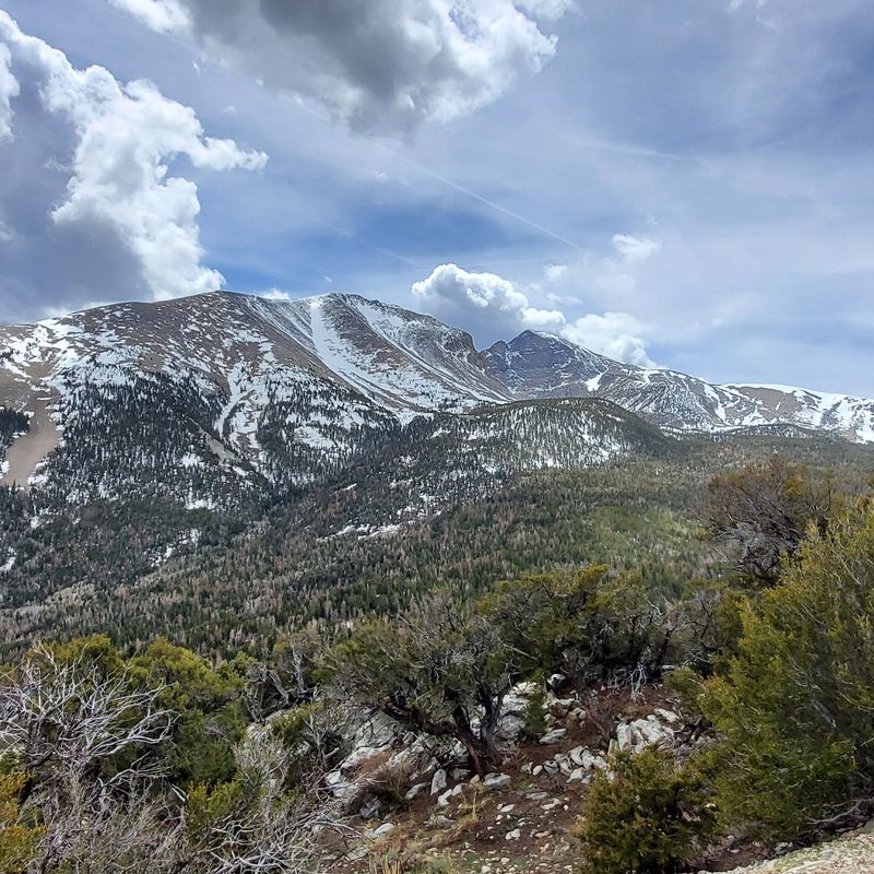 Climbing The Wheeler Peak Scenic Drive