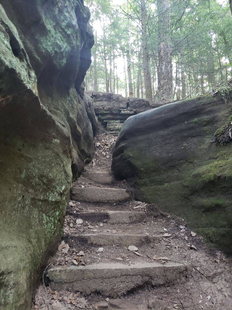 Which Families the Trail Suits Best