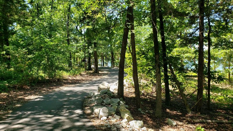Keep Your Eyes Peeled For Eagles And Deer