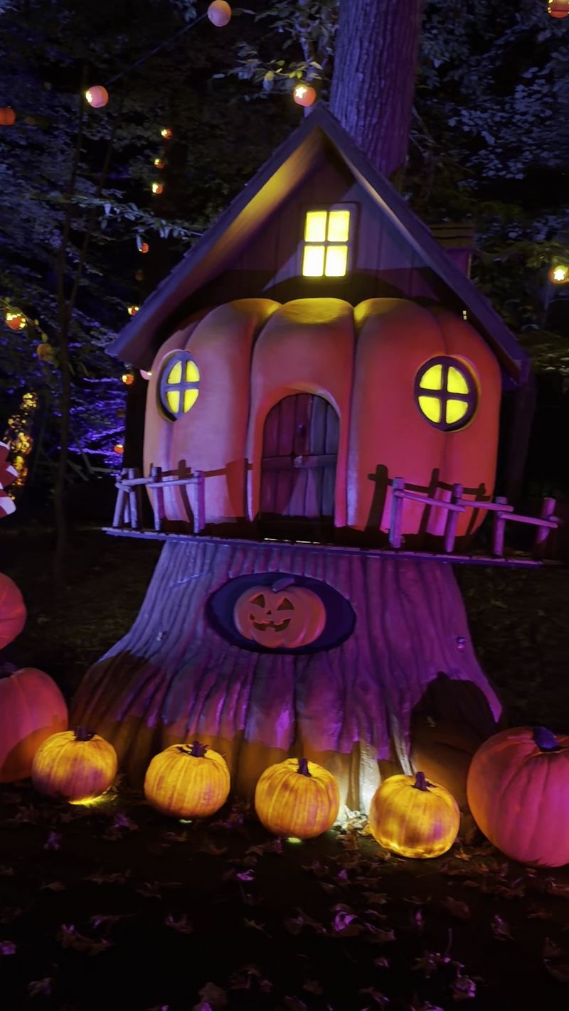 A Brand-New Pumpkin Trail Keeps The Glow In Iroquois Park
