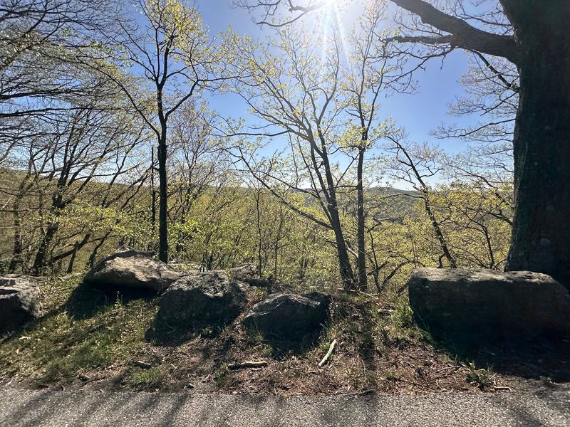 Squeeze Through A Rocky Puzzle In Harriman