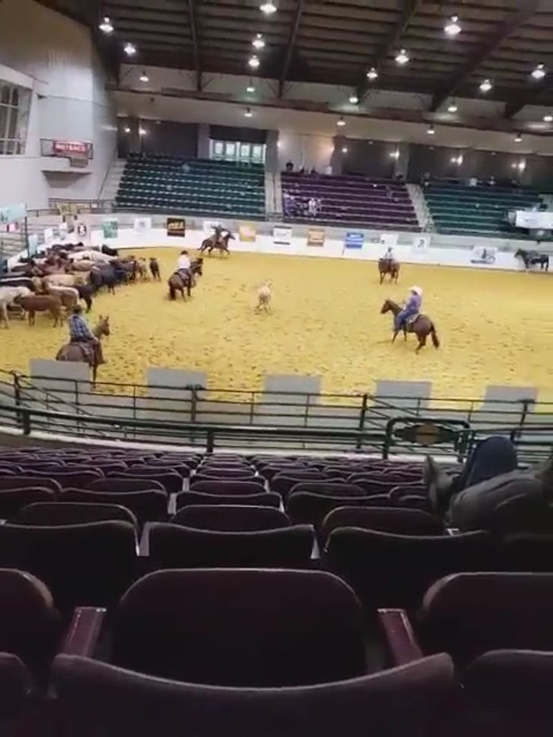 Cool Air Inside a Southern Arena
