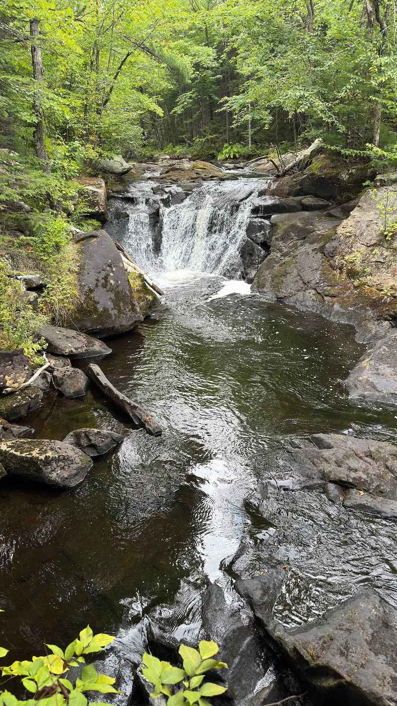 Cool Pools For Summer Splashing