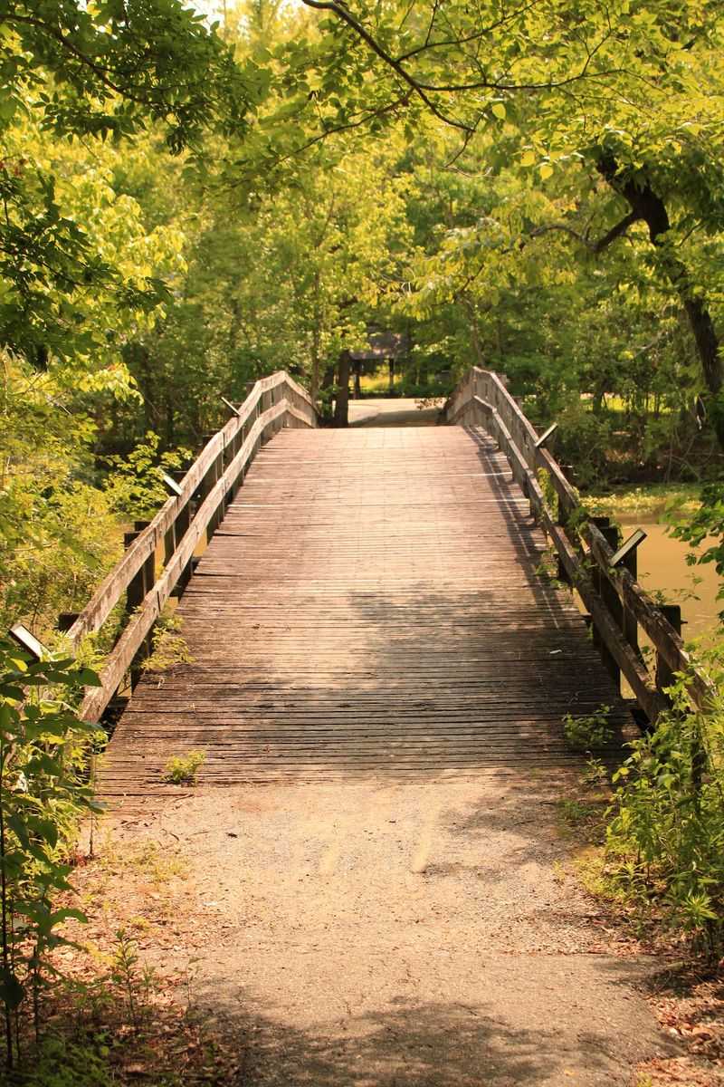 Three Trails, Zero Traffic Jams