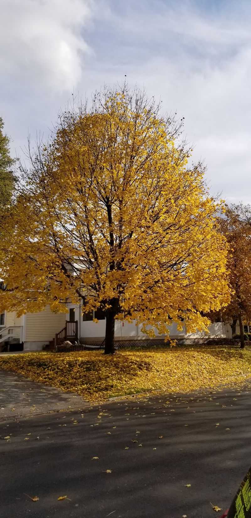 Fall Colors That Make Every Step Worth It