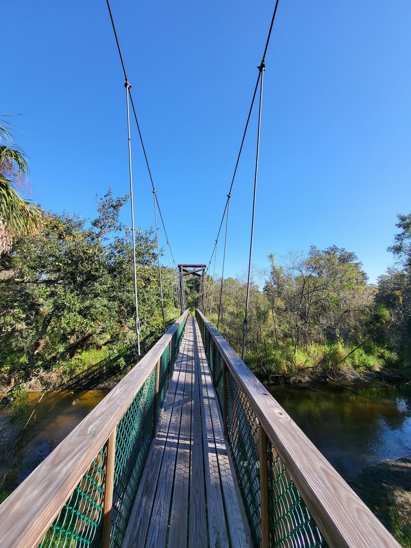 A Swinging Bridge That Steals The Show