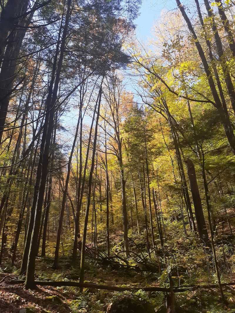 Four Seasons, Four Different Hikes
