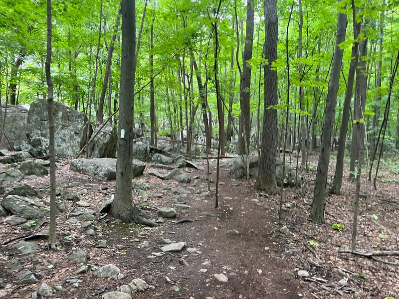 A Short Stretch Of A Very Famous Footpath
