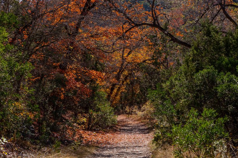 Lace Up Boots For The East Trail