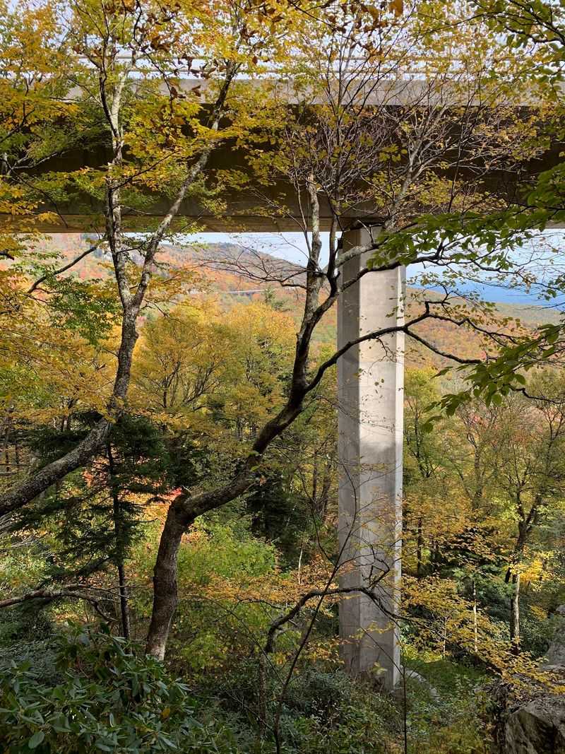 Peek Underneath On The Tanawha Trail