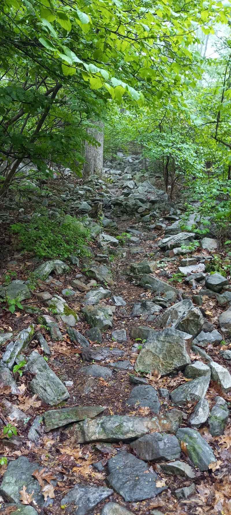 Two Short Trails And A Boulder Scramble