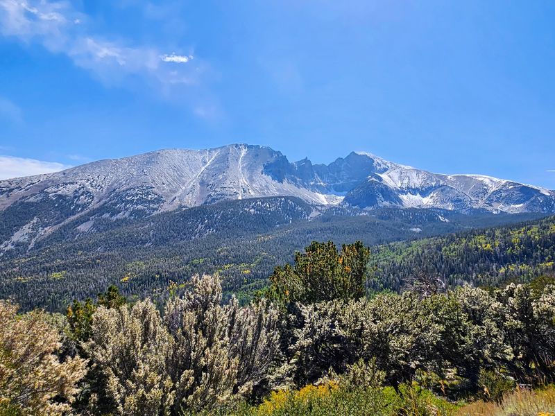 The Winding Road Up Wheeler Peak