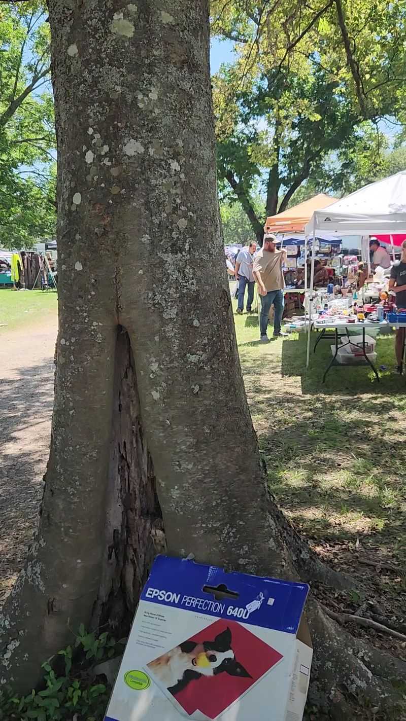 Shade, Restrooms, and a Family-Friendly Feel