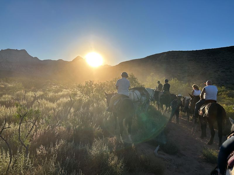 Golden Hour Rides And A Campfire Feast