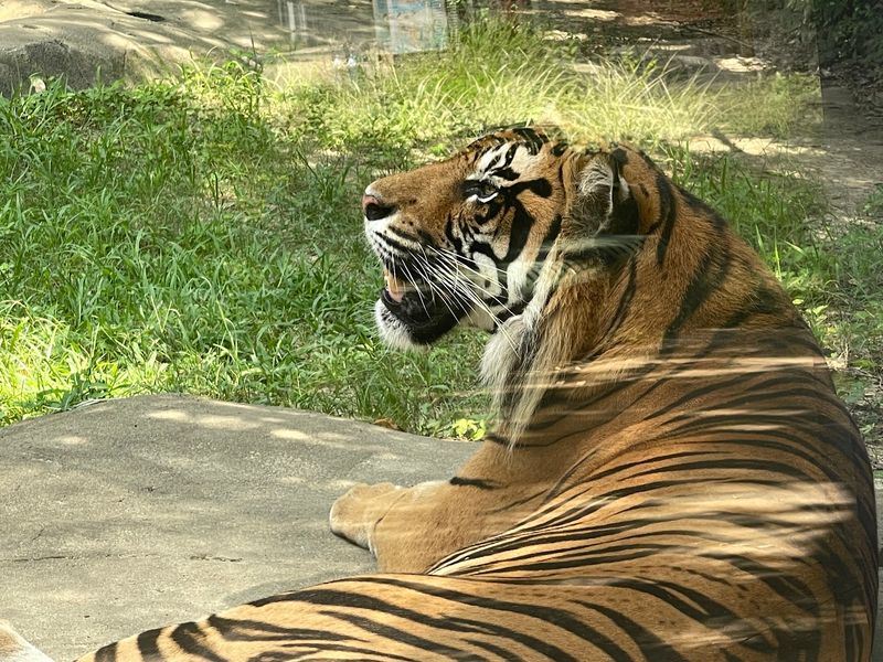 Keepers Who Love Sharing Fun Facts
